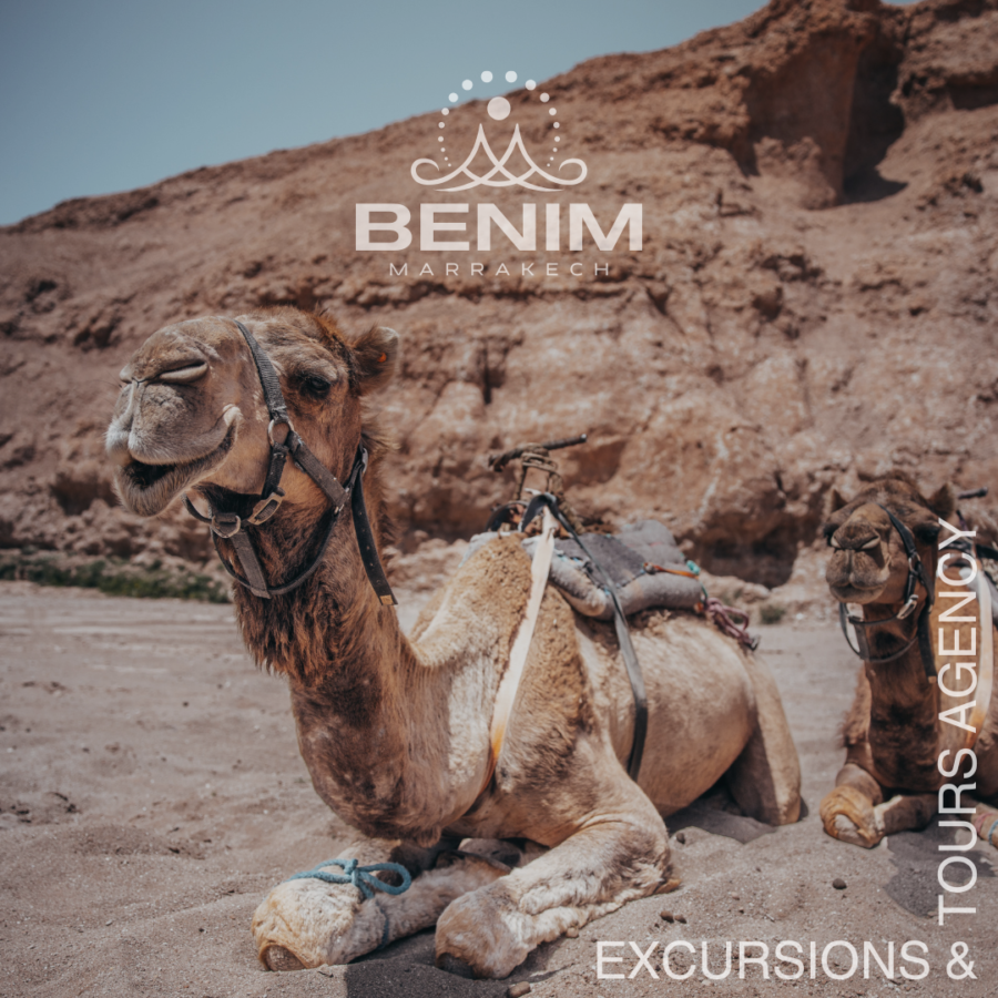 Brown & White Illustrative Tours and Travel Instagram Post